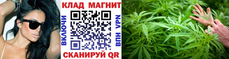 Купить наркотик Весьегонск Alpha-PVP Гашиш АМФ Псилоцибиновые грибы Каннабис