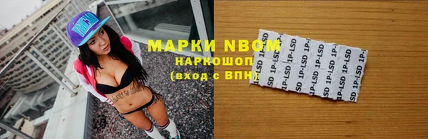 прущие грибы Бронницы