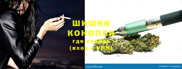 крисы Богородск