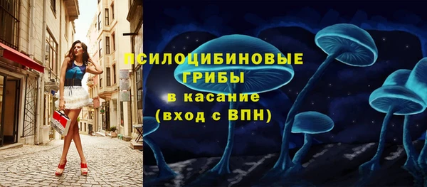 крисы Богородск