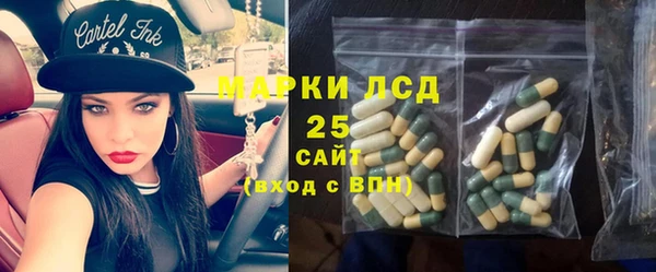прущие грибы Бронницы
