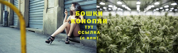 крисы Богородск